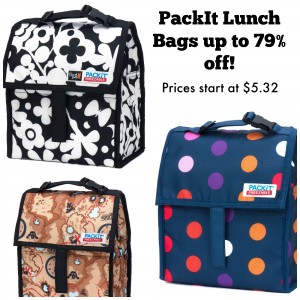 pack-it-lunch-bags